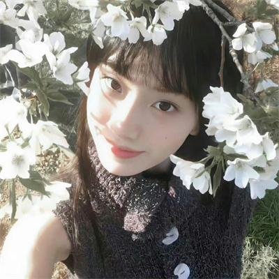 境界线上的地平线第二季