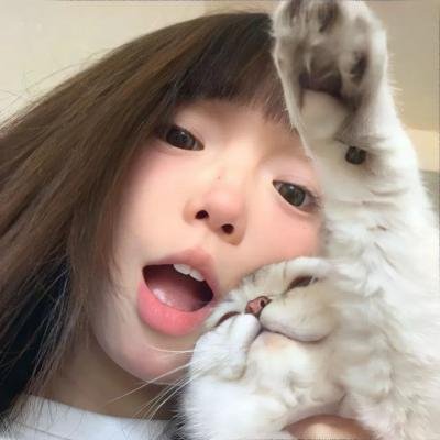 咕咕是一只猫